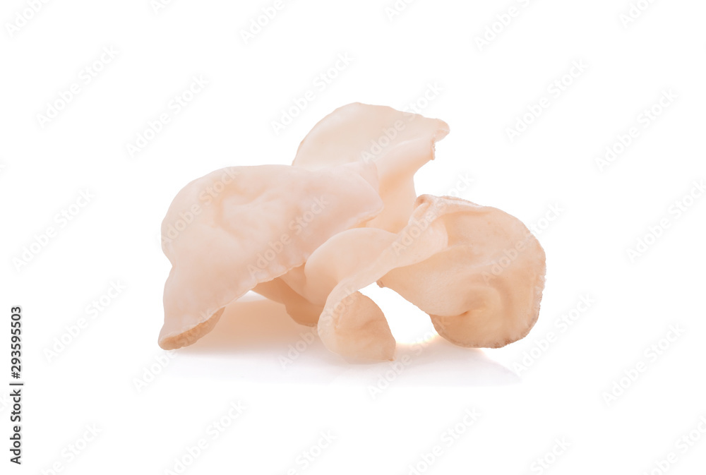 Fototapeta premium white ear mushroom or white jelly mushroom isolated on white background
