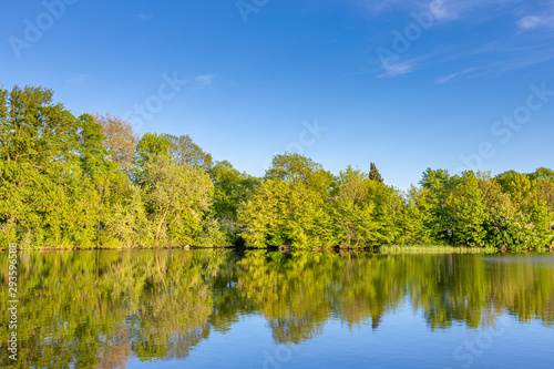 Reflections on the lake. Landscape at a lake