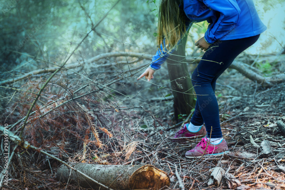 Obraz premium Girl in blue blouse is looking for mushrooms in the forest. Family trip in the autumn colorful woods.