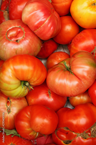 Appetizing and red garden tomatoes