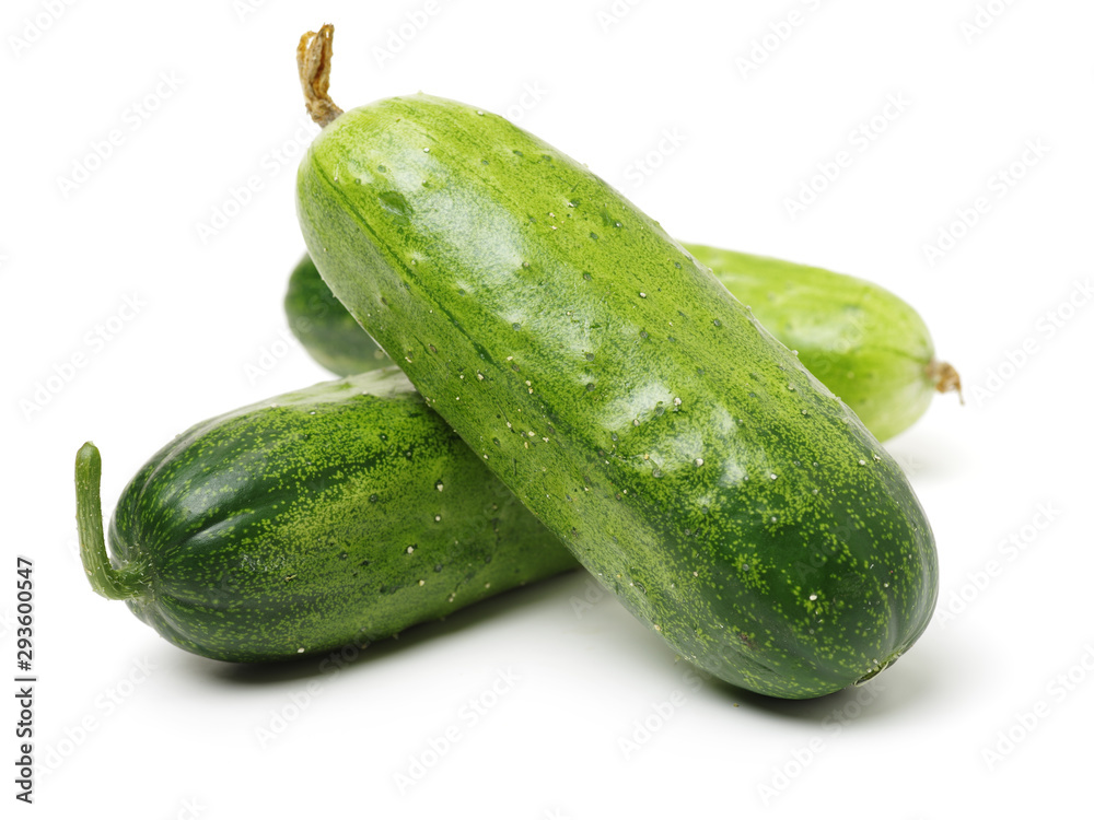 Green cucumber on the white background