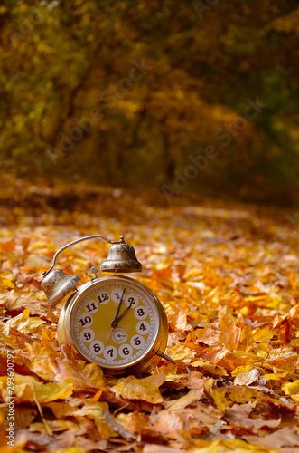 Passing of time and season change conceptual photo with vintage alarm clock in colorful autumn leaves.