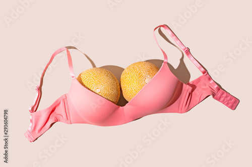 Melons Breast Bra Concept  photo