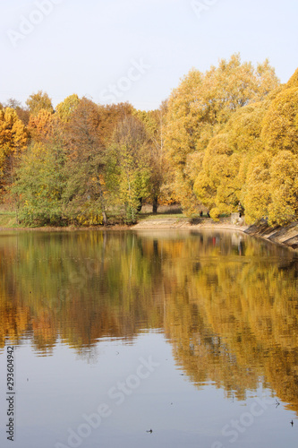 Golden autumn in Moscow park