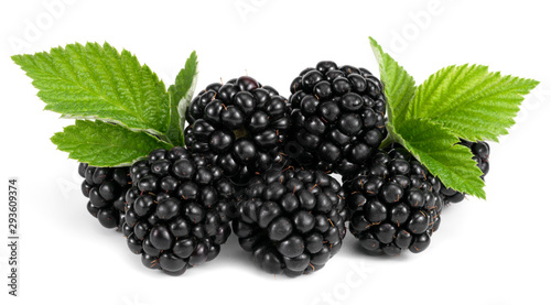 .blackberry on a white background
