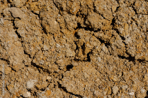 Desert dried and cracked ground. erosion earth background. cracked dry wall surface. white natural cracked texture. desert
