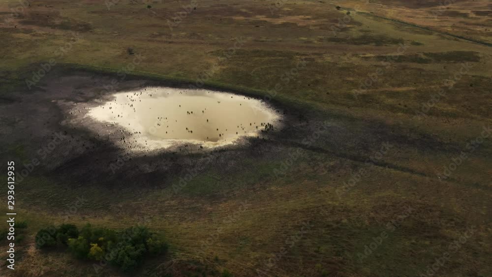 Aerial view of muddy pond in plain landscape Aerial view of muddy pond in plain landscape