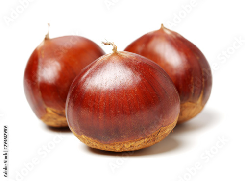 Sweet chestnut on white background photo