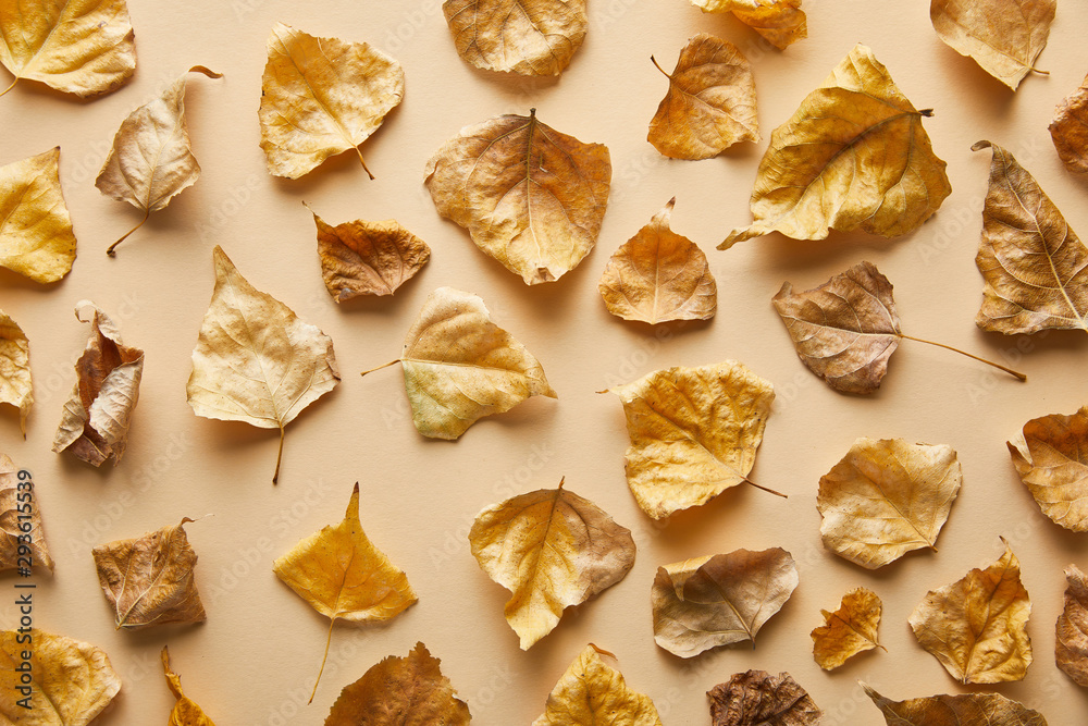 top view of dry golden foliage on beige background top view of dry golden foliage on beige background
