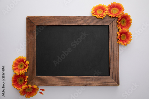 top view of orange gerbera flowers and blank chalkboard on white background