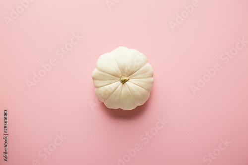 ripe whole white pumpkin on pink background
