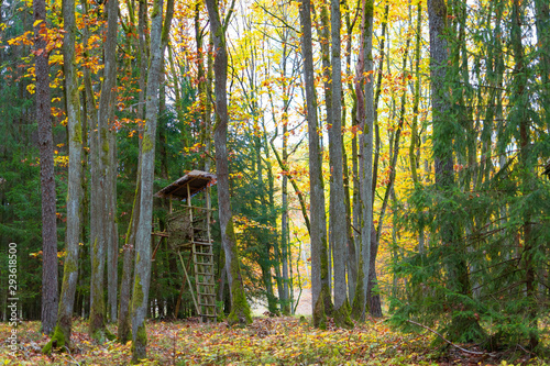 A wooden hunting hide in the forest