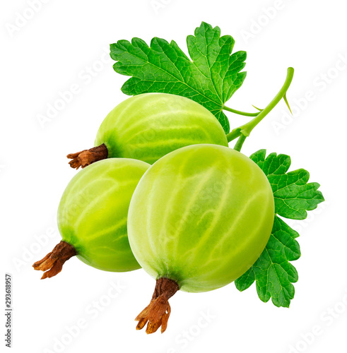 Green gooseberry with leaves isolated on white background