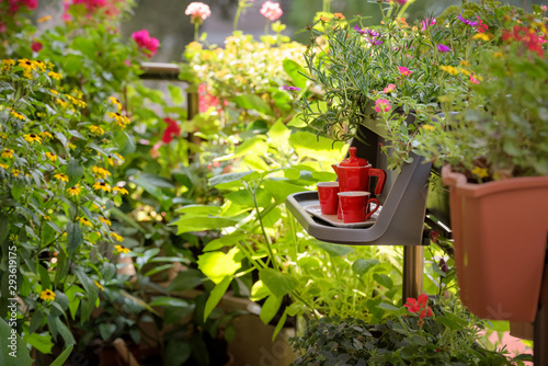 Fototapeta Naklejka Na Ścianę i Meble -  Urban Balcony garden. Cozy summer balcony with many potted plants, cup of coffee. Morning coffee on the balcony. Small table with red coffee cups and coffee maker.