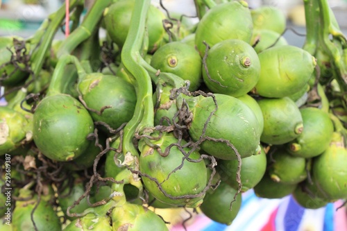 Betel palm with nature at street food