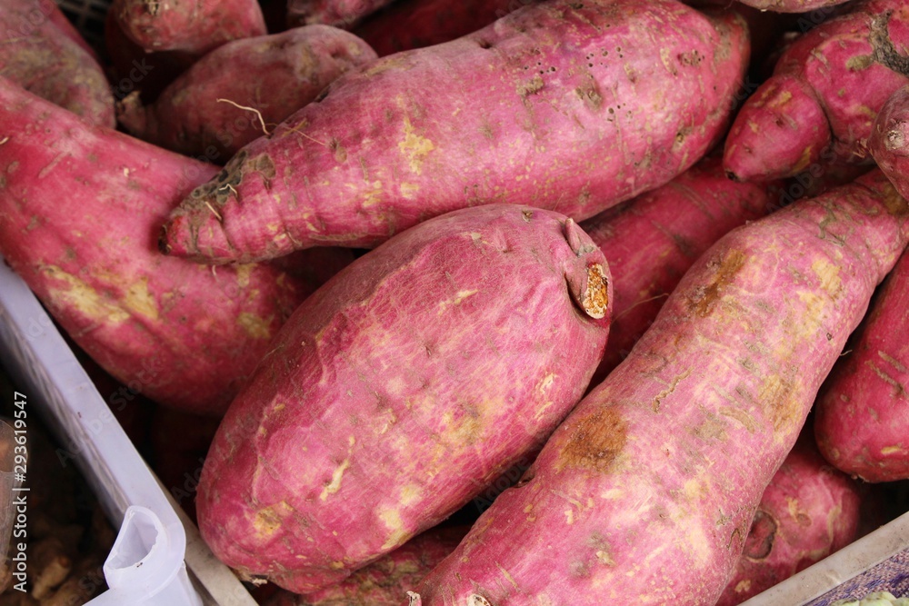 Fresh yam for cooking in the market Fresh yam for cooking in the market