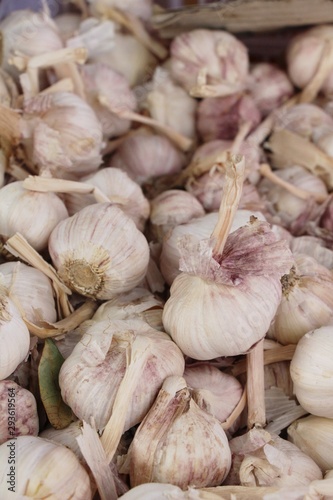 Garlic head for cooking at street food