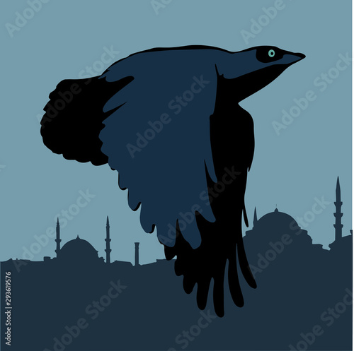 Grajilla negra volando por la noche sobre Estambul
