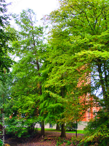 Herbstlandschaft