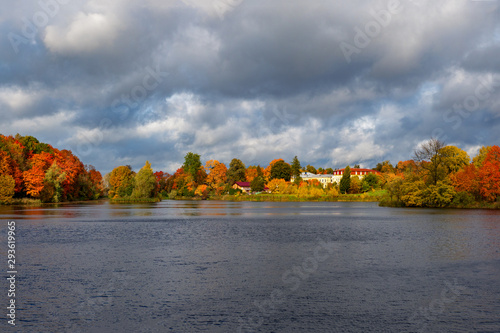 Bright autumn landscape with houses by the water.