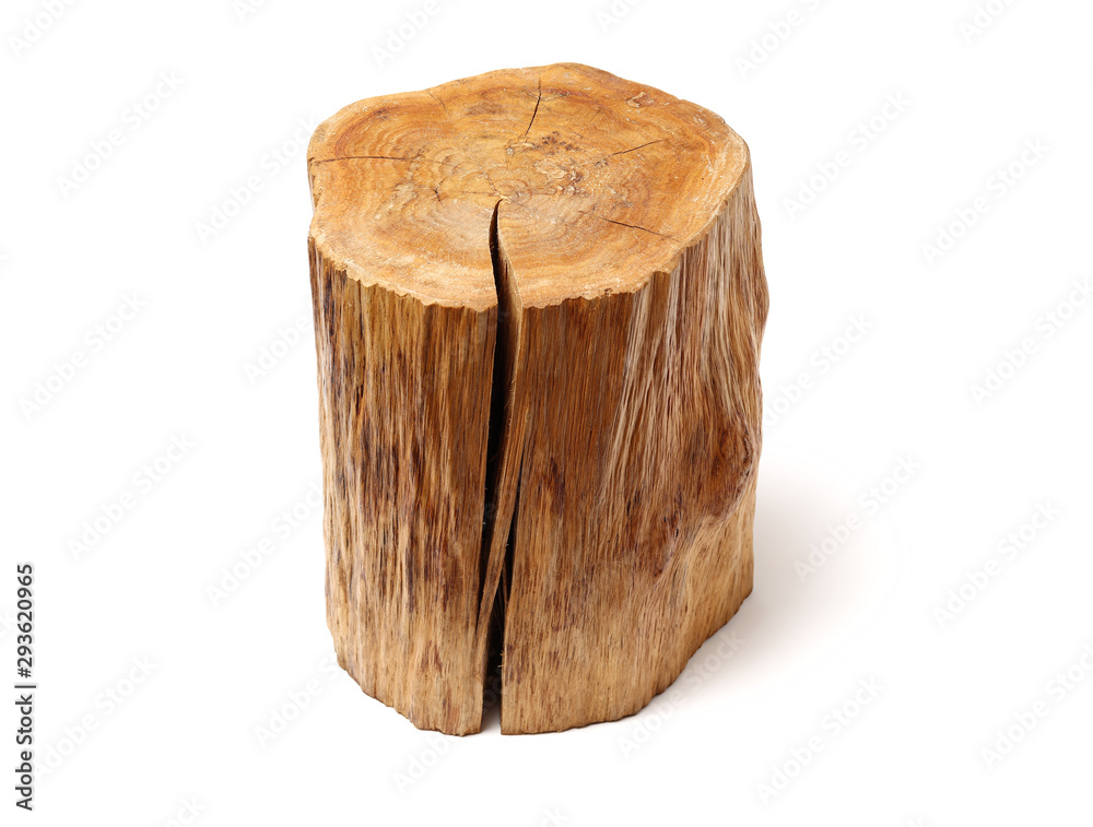 log isolated on a white background log isolated on a white background