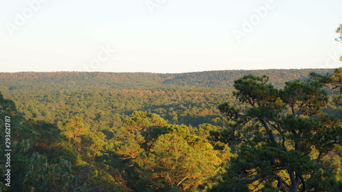 autumn landscape with trees and blue sky