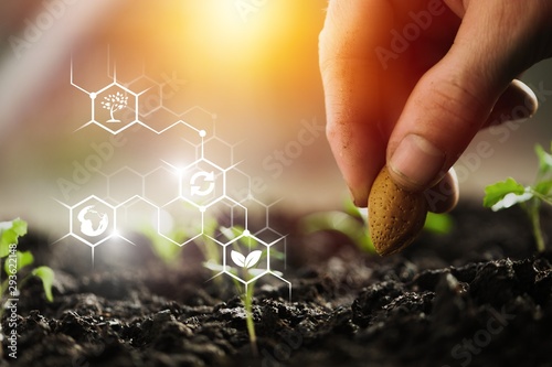 Photography Agriculture.