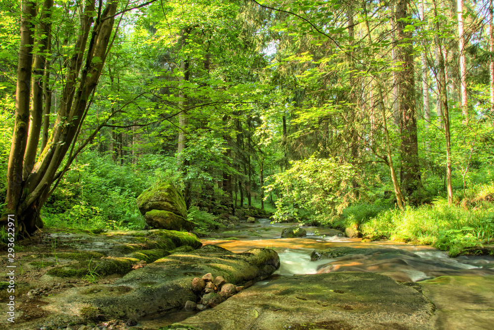 Langzeitbelichtung Gewässer im Erzgebirge an der Bockau, Fluss mit Steinen, Wald, Lichtstimmung Langzeitbelichtung Gewässer im Erzgebirge an der Bockau, Fluss mit Steinen, Wald, Lichtstimmung
