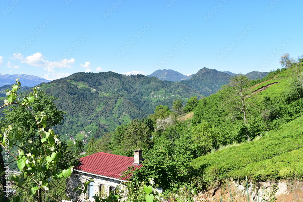 house in the mountains