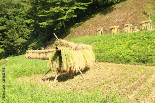 石畑の棚田 栃木県茂木町