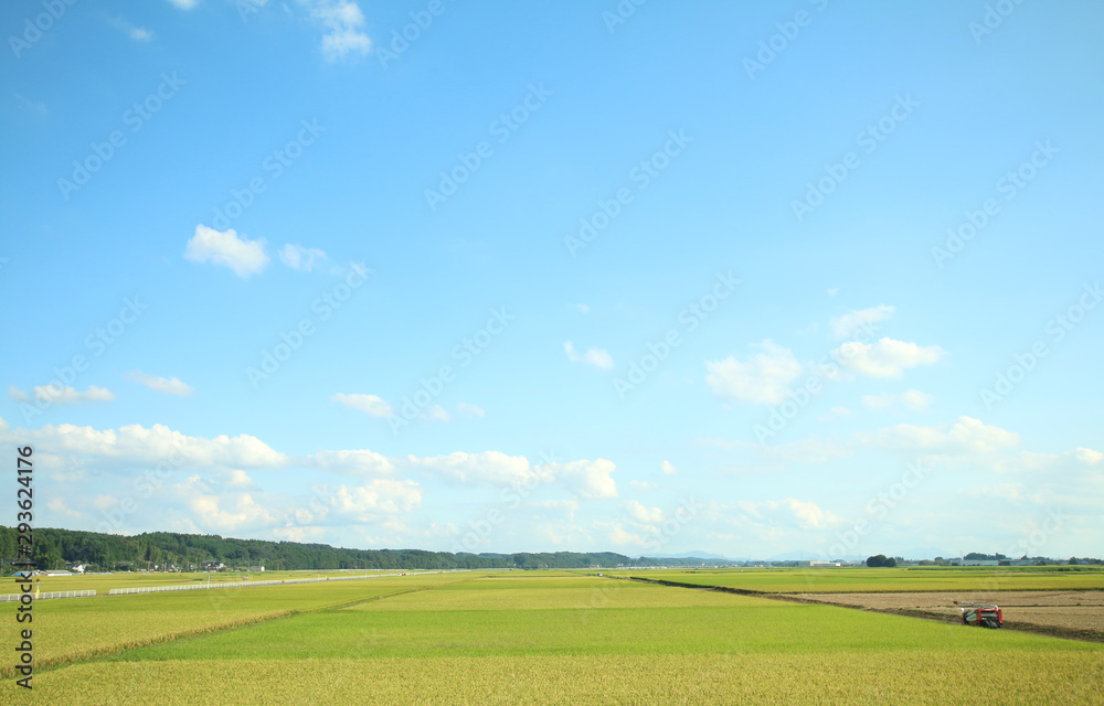 田園風景　栃木県高根沢町