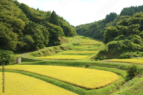 石畑の棚田　栃木県茂木町