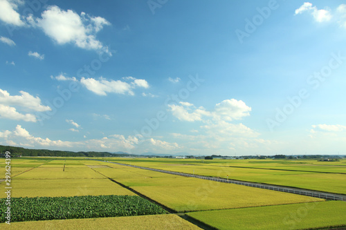 田園風景　栃木県高根沢町