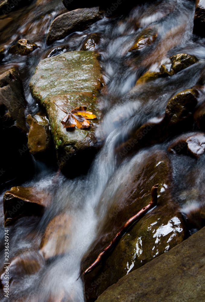 The yellow maple leaf lies on a stone in the stream of a mountain river