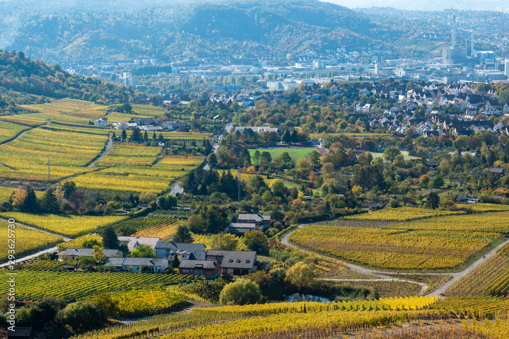 Fototapeta premium rural landscape with green fields and hills