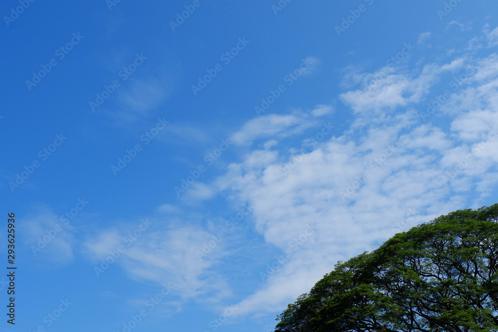 blue sky and clouds