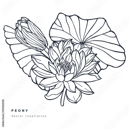 Vintage card with lotus flowers. Floral wreath. Flower frame for flowershop with label designs. Floral water lily greeting card. Flowers background for cosmetics packaging.