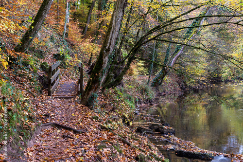 beautiful woodland in autumn time in Germany