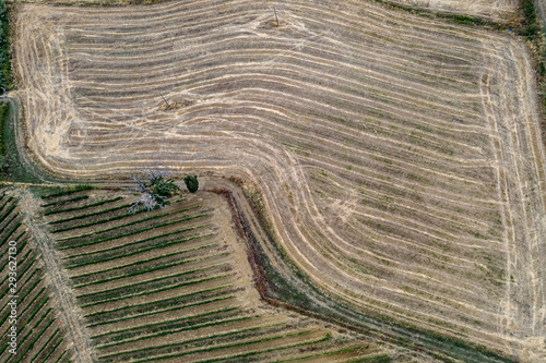 Fields of Tuscany photo