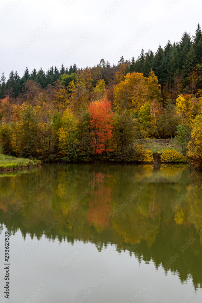 beautiful woodland in autumn time in Germany beautiful woodland in autumn time in Germany