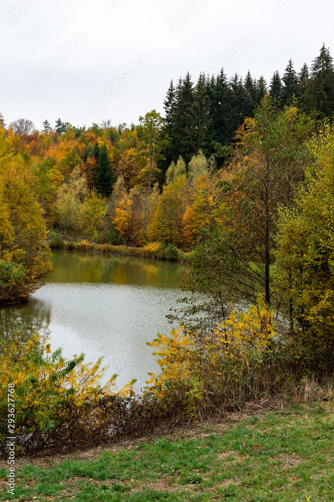 beautiful woodland in autumn time in Germany
