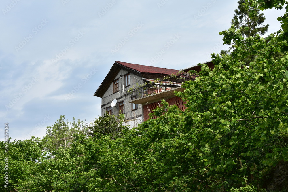 old wooden house in the forest