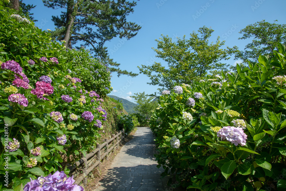 下田公園 下田公園