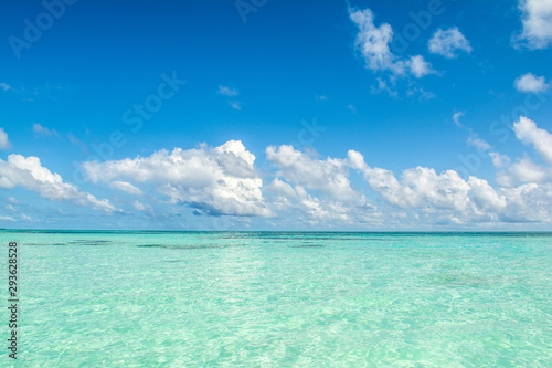 Beautiful landscape of the sandy beach, Maldives island