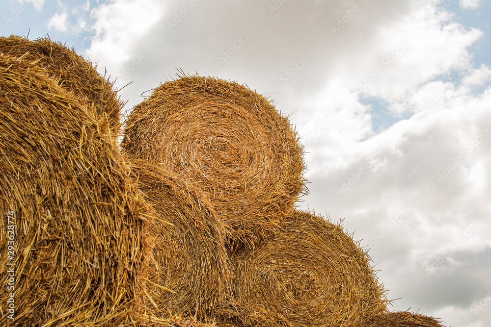 Macro photo haystack on farm. Photo landscape haystack rolls in the field Macro photo haystack on farm. Photo landscape haystack rolls in the field