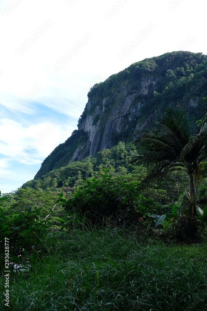 Mahé mountain