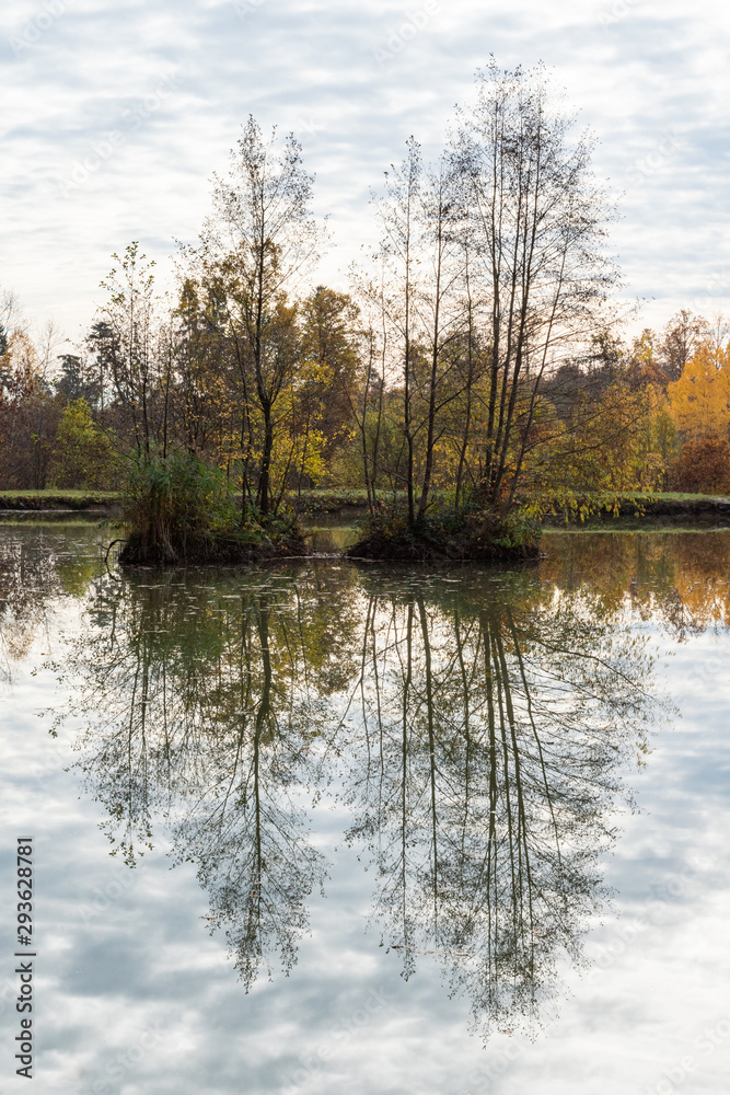 beautiful woodland in autumn time in Germany