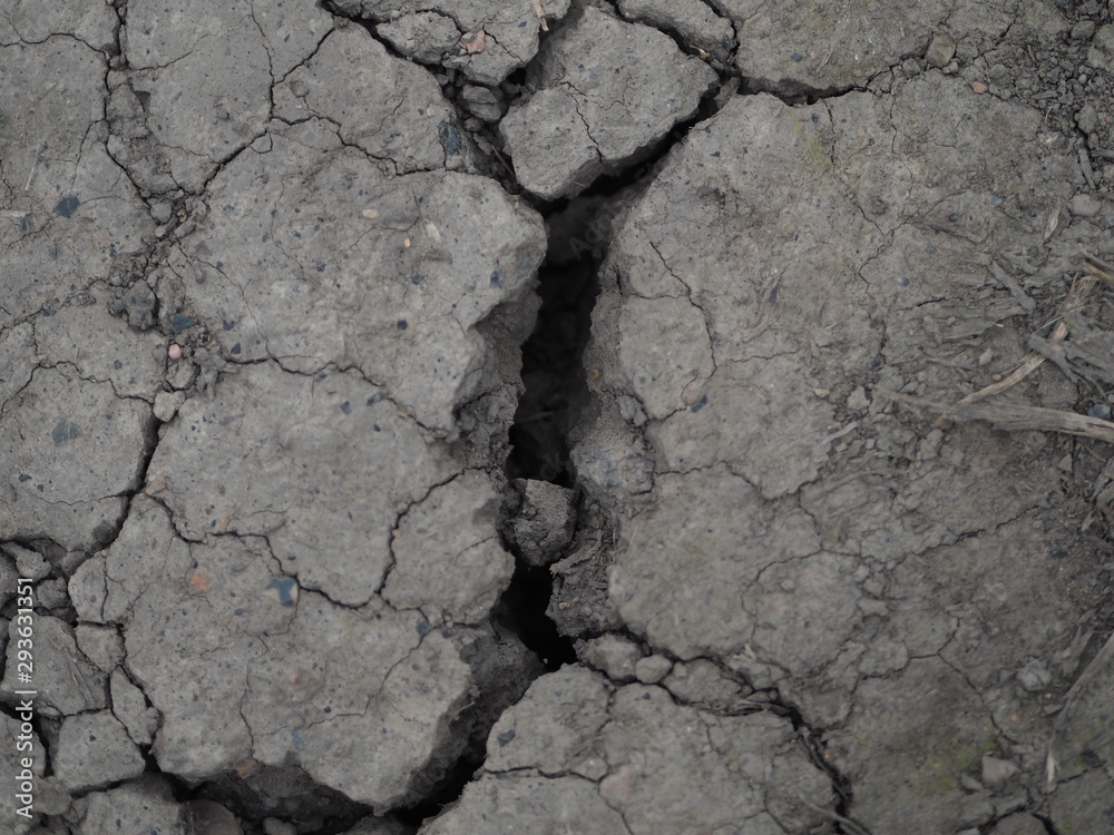 multiple cracks in a dry mud path multiple cracks in a dry mud path