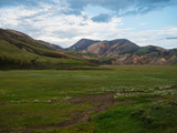Green meadow with Colorful Rhyolit mountain panorma with multicolored volcanos in Landmannalaugar area of Fjallabak Nature Reserve in Highlands region of Iceland