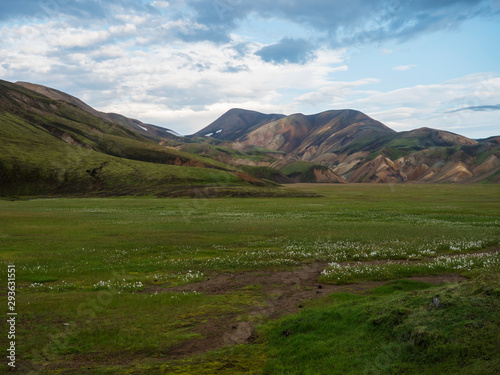 Green meadow with Colorful Rhyolit mountain panorma with multicolored volcanos in Landmannalaugar area of Fjallabak Nature Reserve in Highlands region of Iceland
